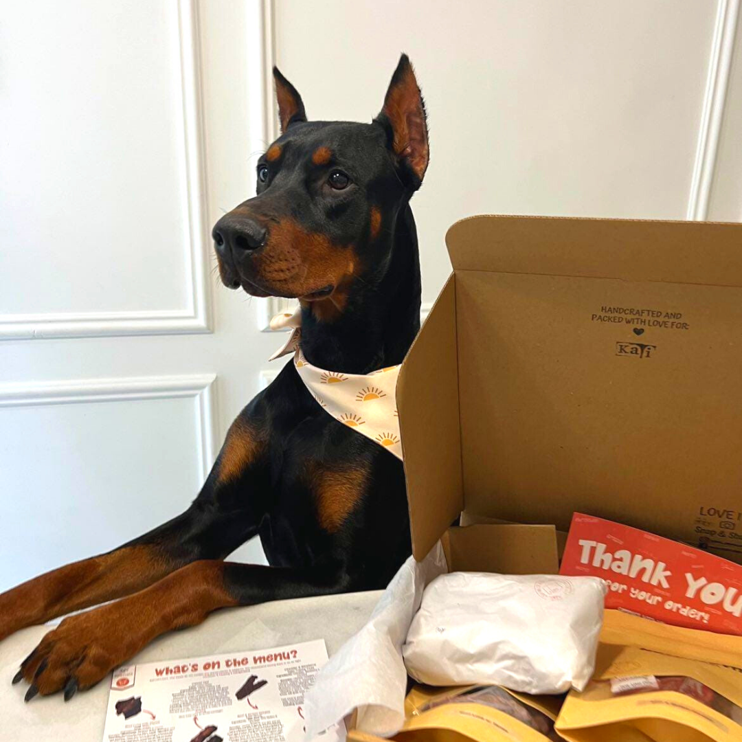 Monthly dog chew box top