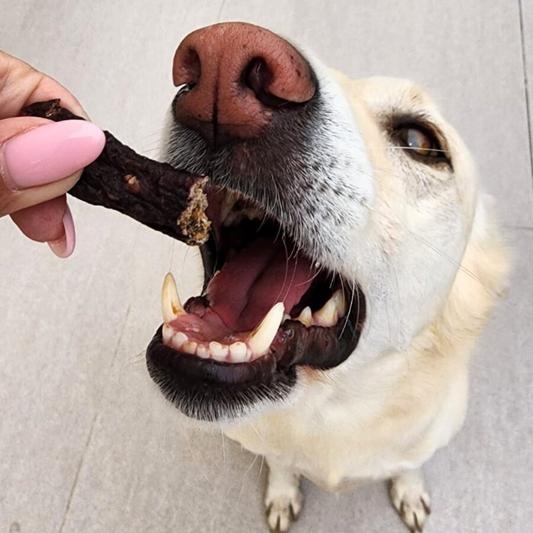 XL Pack of Dog Treats - Beef & Parsley Strips