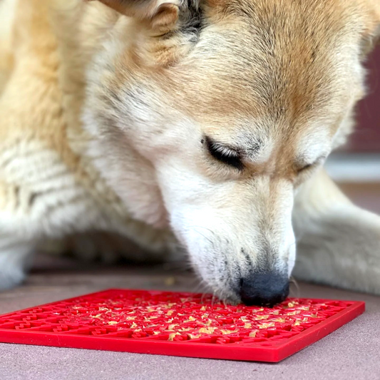 Dog Lick Mat - Christmas