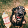 The Power of Bone Broth: Why Your Dog Needs It in Their Diet