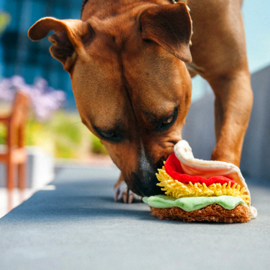 dog playing with his toy