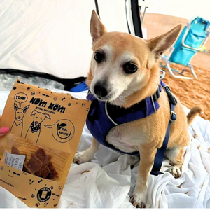 Healthy Dog Treats - Beef Trachea