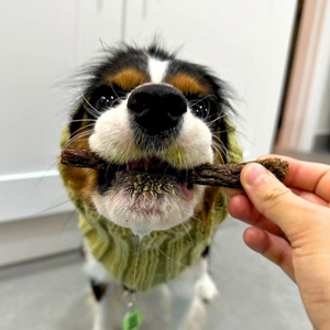 Healthy Dog Treats - Beef & Banana