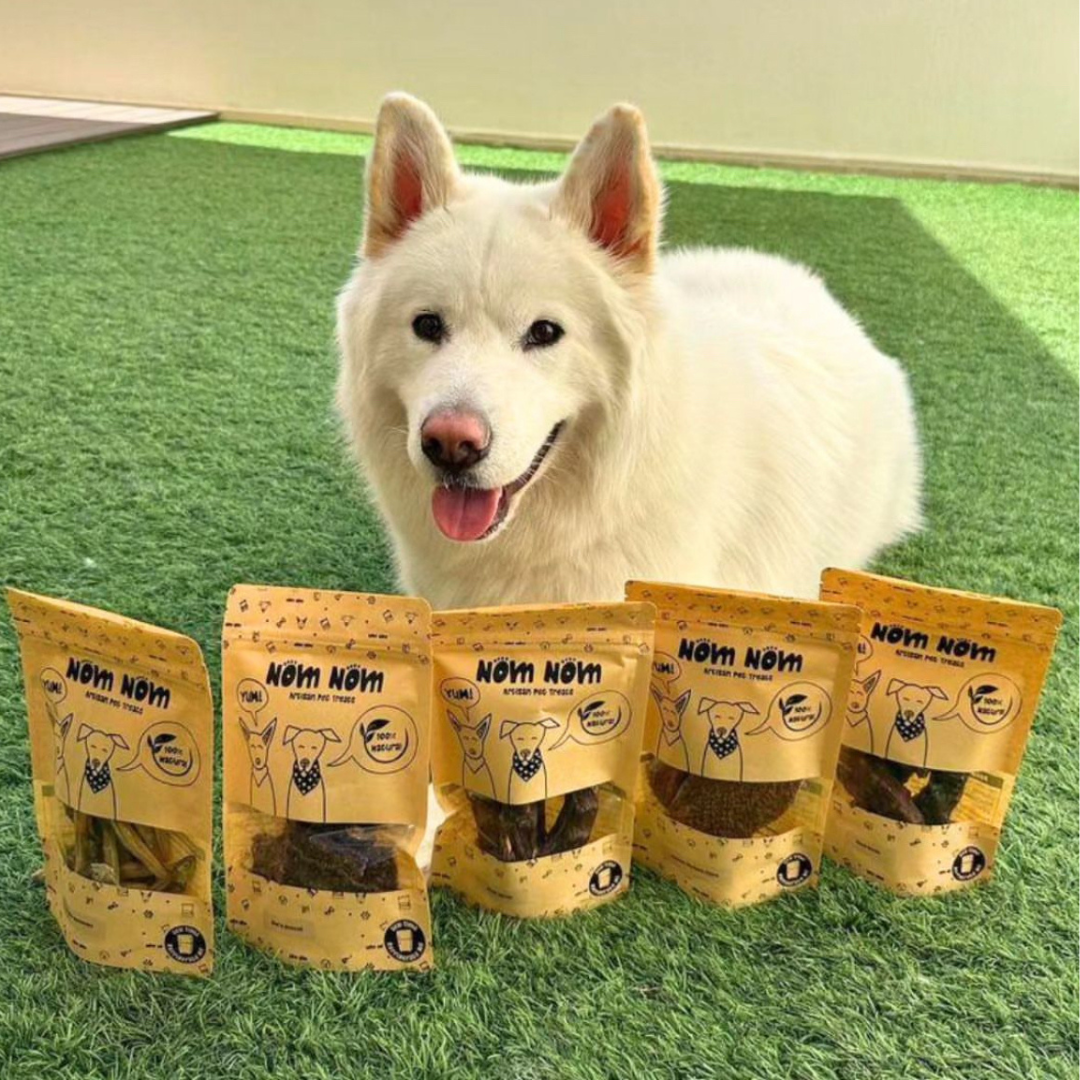 Camel Tendon Dog Chews
