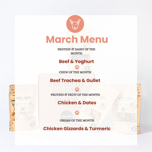 Limited Edition Dog Treat Box - 4 packs