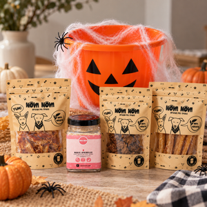 Halloween Trick or Treat Bucket