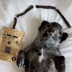 Healthy Dog Treats - Duck Heart & Oregano