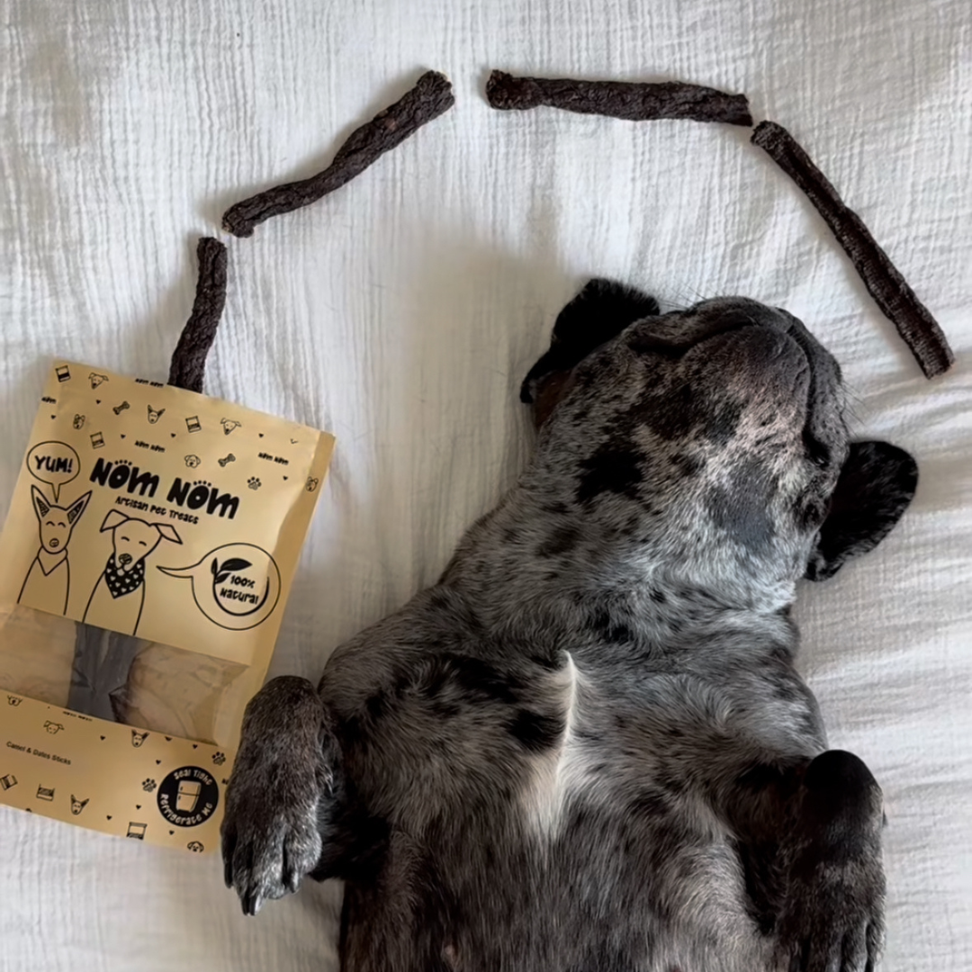 Healthy Dog Treats - Duck Heart & Oregano