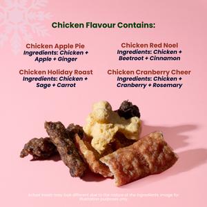 Dog Treat Advent Calendar (24 days)