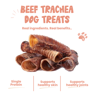 Beef Trachea Dog Treats