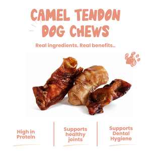 Camel Tendon Dog Chews