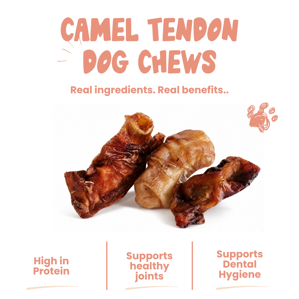 Camel Tendon Dog Chews