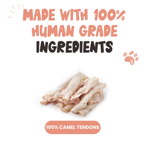 Camel Tendon Dog Chews