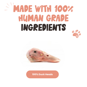 Duck Head Dog Chews