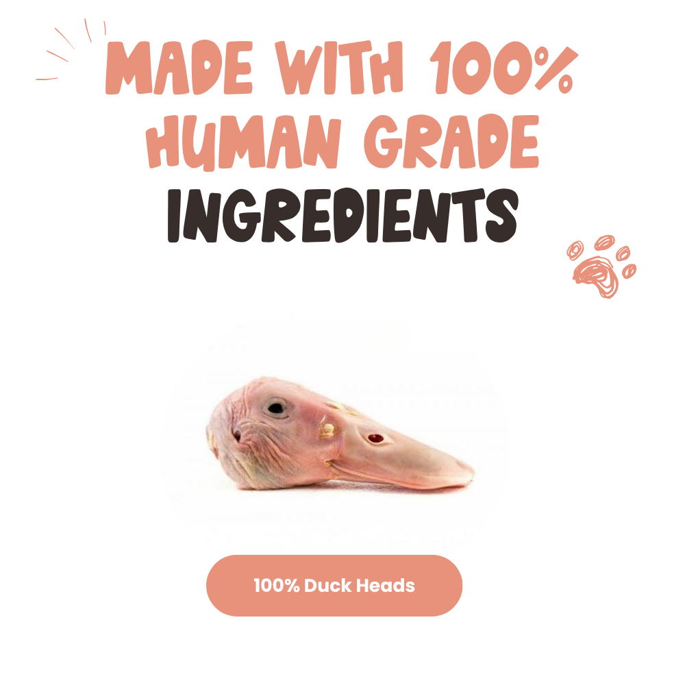 Duck Head Dog Chews