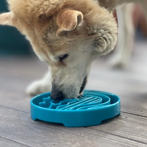 Dog Slow Feeder Bowl - Surf
