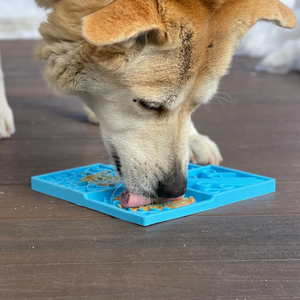 Dog Lick Mat - Elements