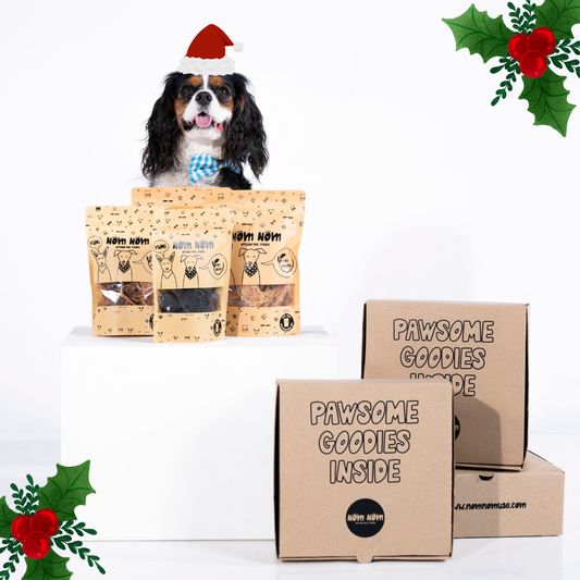 Limited Edition Dog Treat Box - 6 packs
