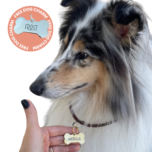 Limited Edition Dog Treat Box - 6 packs