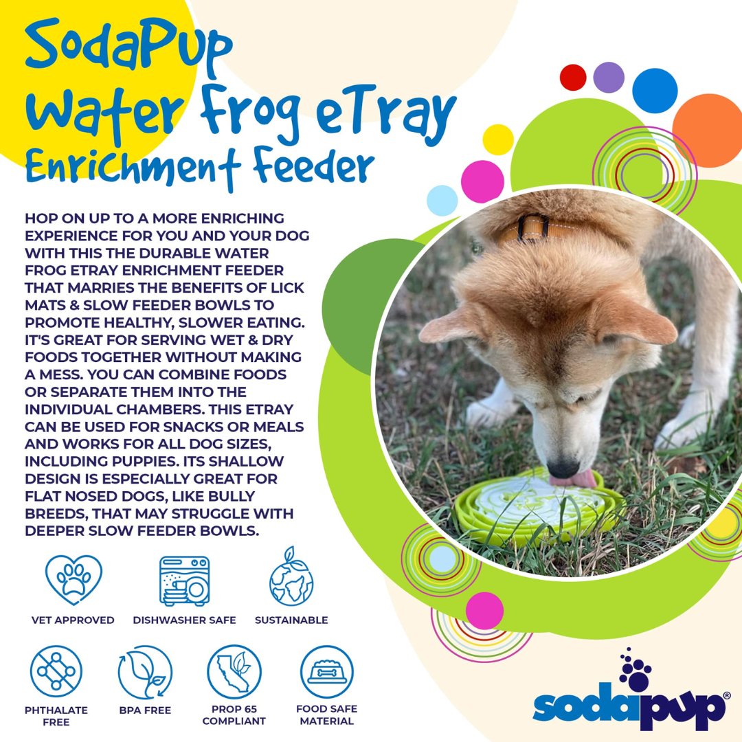 Dog Slow Feeder Tray - Water Frog
