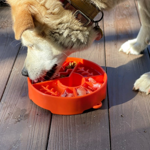 Dog Slow Feeder Bowl - Sunset