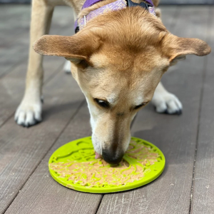 Dog Lick Mat - Tree of Life