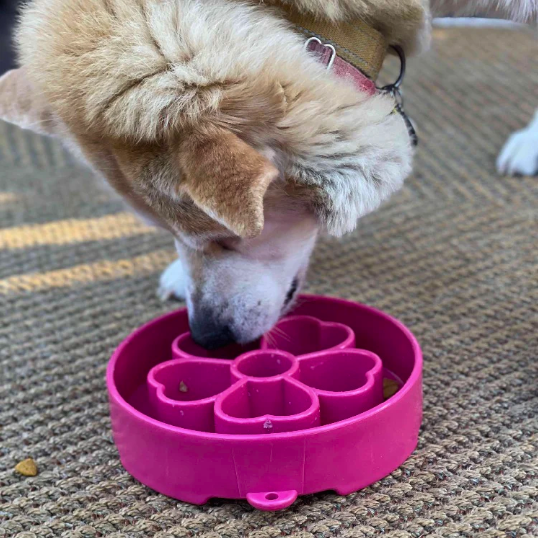 Dog Slow Feeder Bowl - Purple Flower