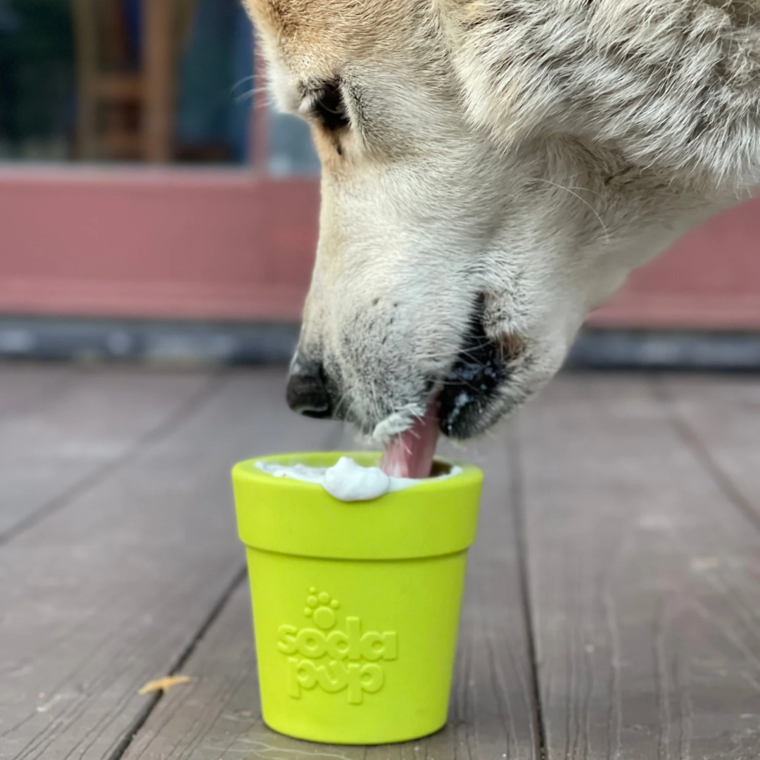 Treat Dispenser Toy - Flower Pot