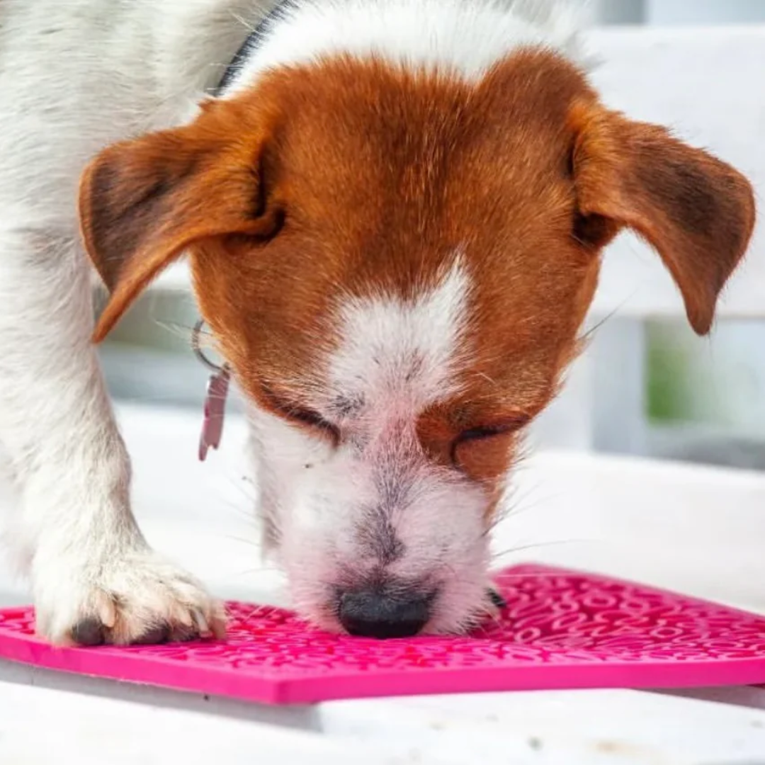 Dog Lick Mat - Flower Power