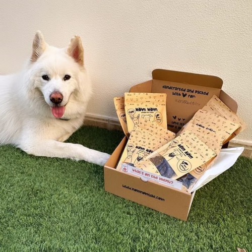 Limited Edition Dog Treat Box - 4 packs