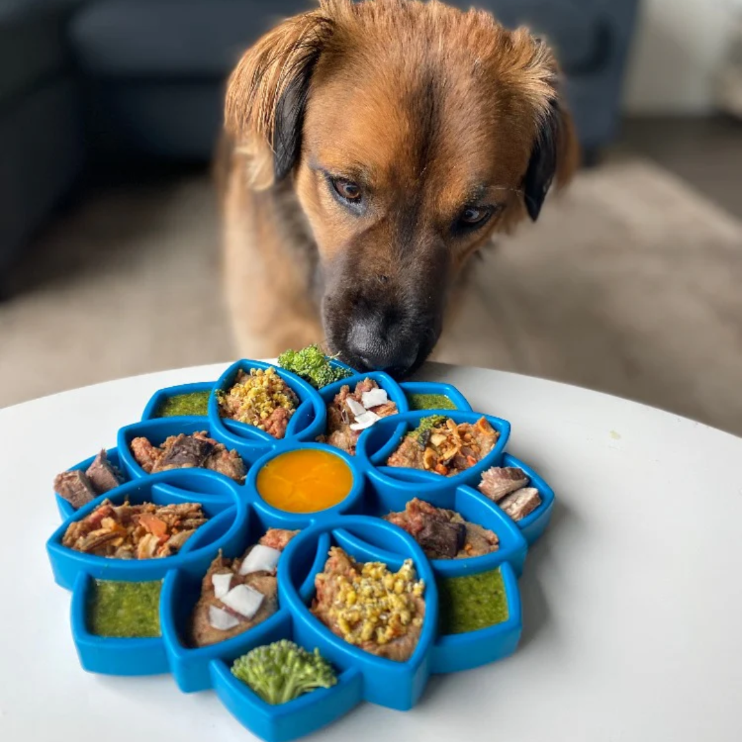 Dog Slow Feeder Tray - Mandala