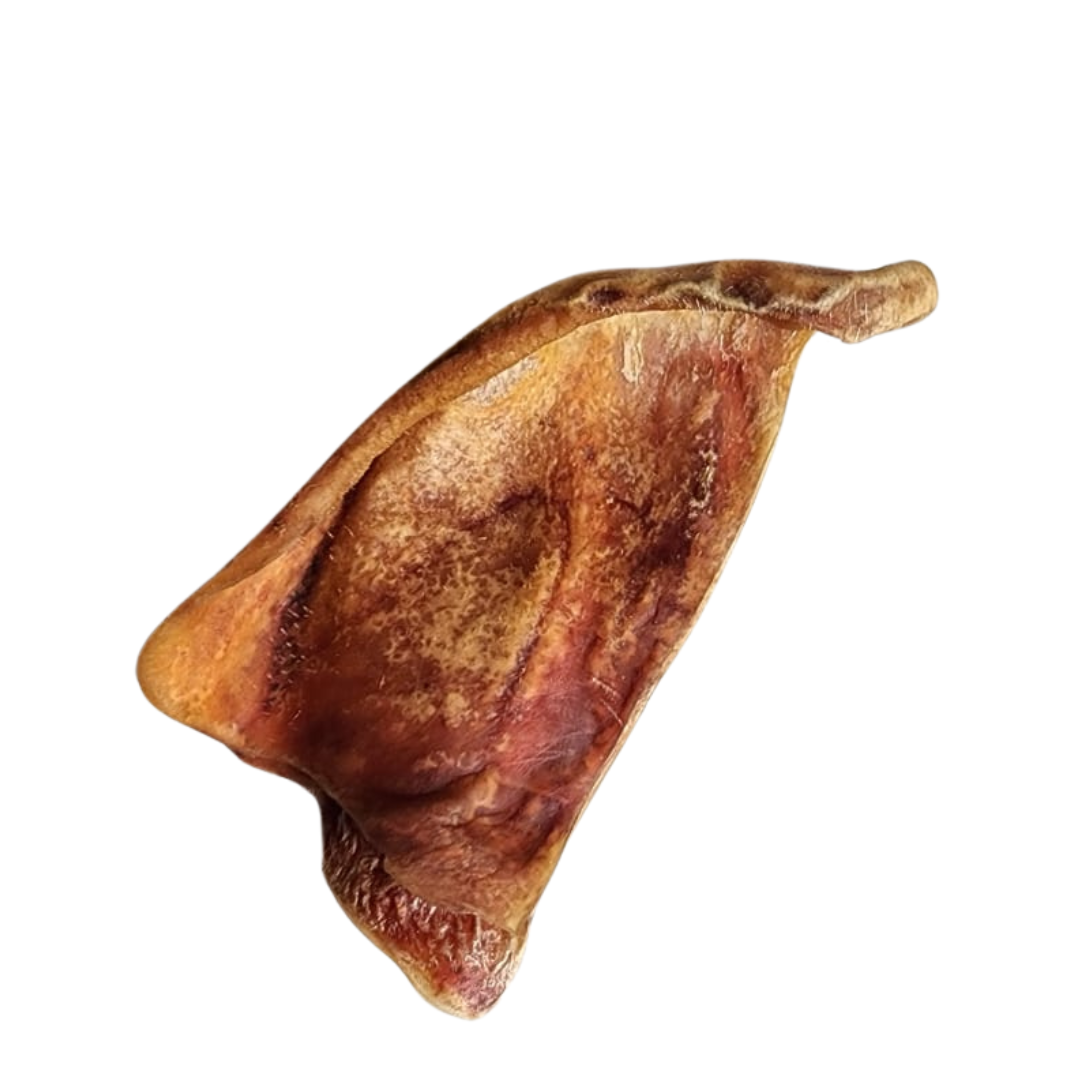 Healthy Dog Treats - Pig Ears