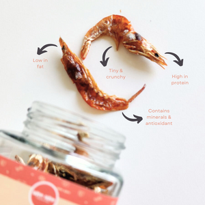 Healthy Dog Treats - Shrimp