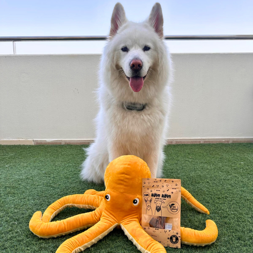 Mini Octopus Dog Treats