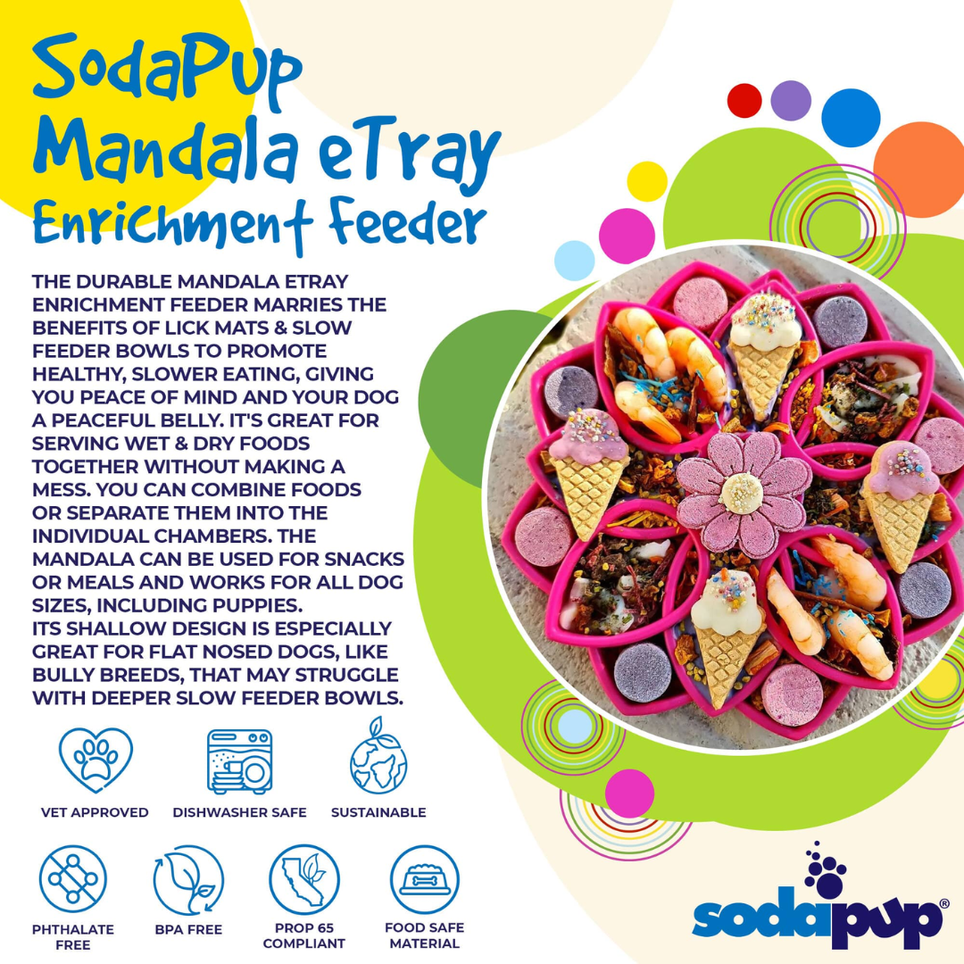 Dog Slow Feeder Tray - Mandala