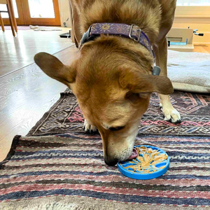 Dog Mini Lick Tray - Hot Air Balloon