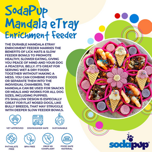 Dog Slow Feeder Tray - Mandala