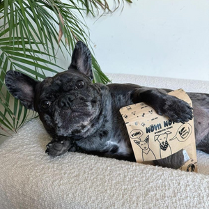Healthy Dog Treats - Buffalo & Melon Bites