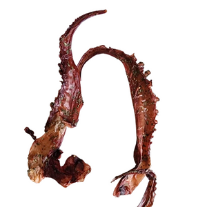Healthy Dog Treats - Octobasil