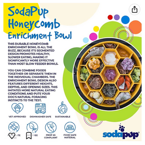 Dog Slow Feeder Bowl - Honeycomb