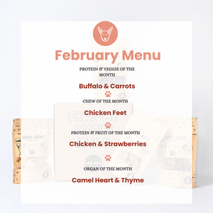 Limited Edition Dog Treat Box - 4 packs