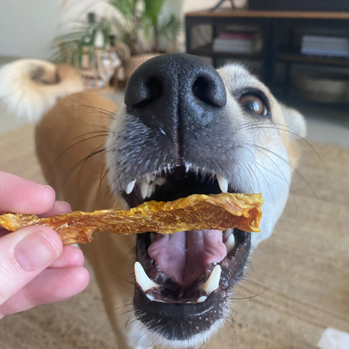 Pig Ear Dog Chews