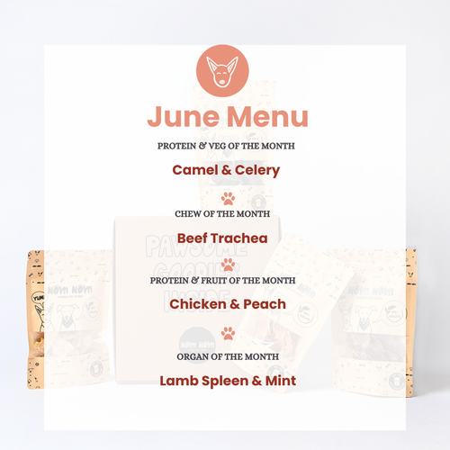 Limited Edition Dog Treat Box - 6 packs