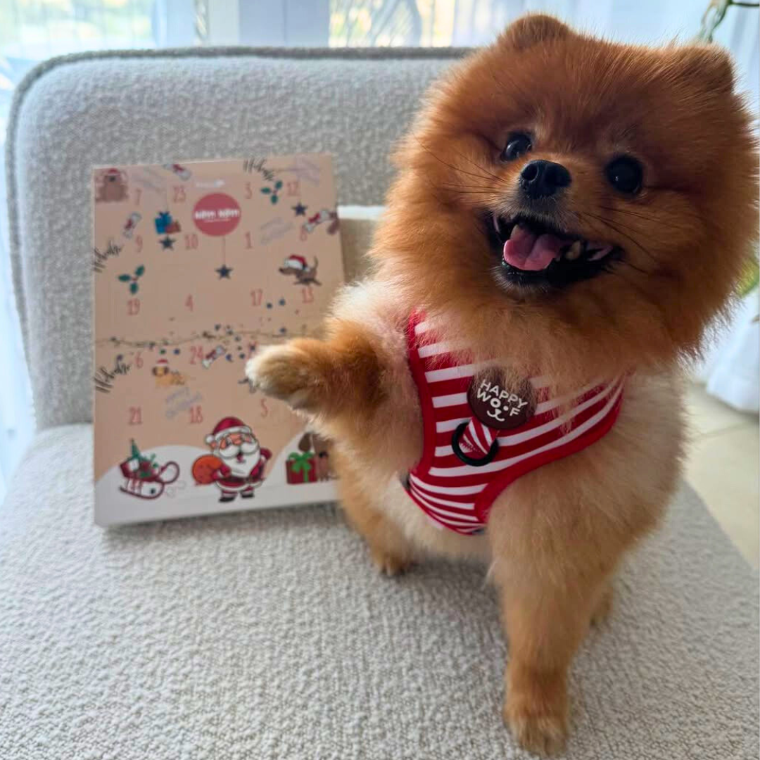Dog Treat Advent Calendar (24 days)