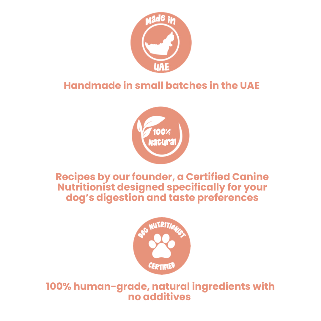 Healthy Dog Treats - Prawns
