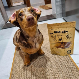 Healthy Dog Treats - Chicken & Goat Cheese Bites