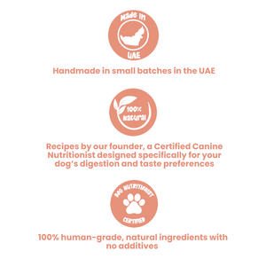 Limited Edition Dog Treat Box - 6 packs