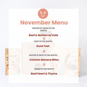 Limited Edition Dog Treat Box - 4 packs