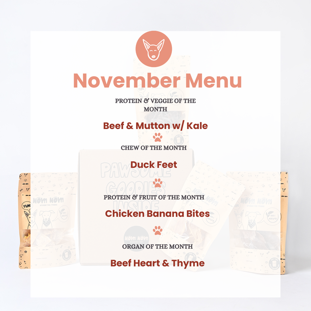 Limited Edition Dog Treat Box - 4 packs