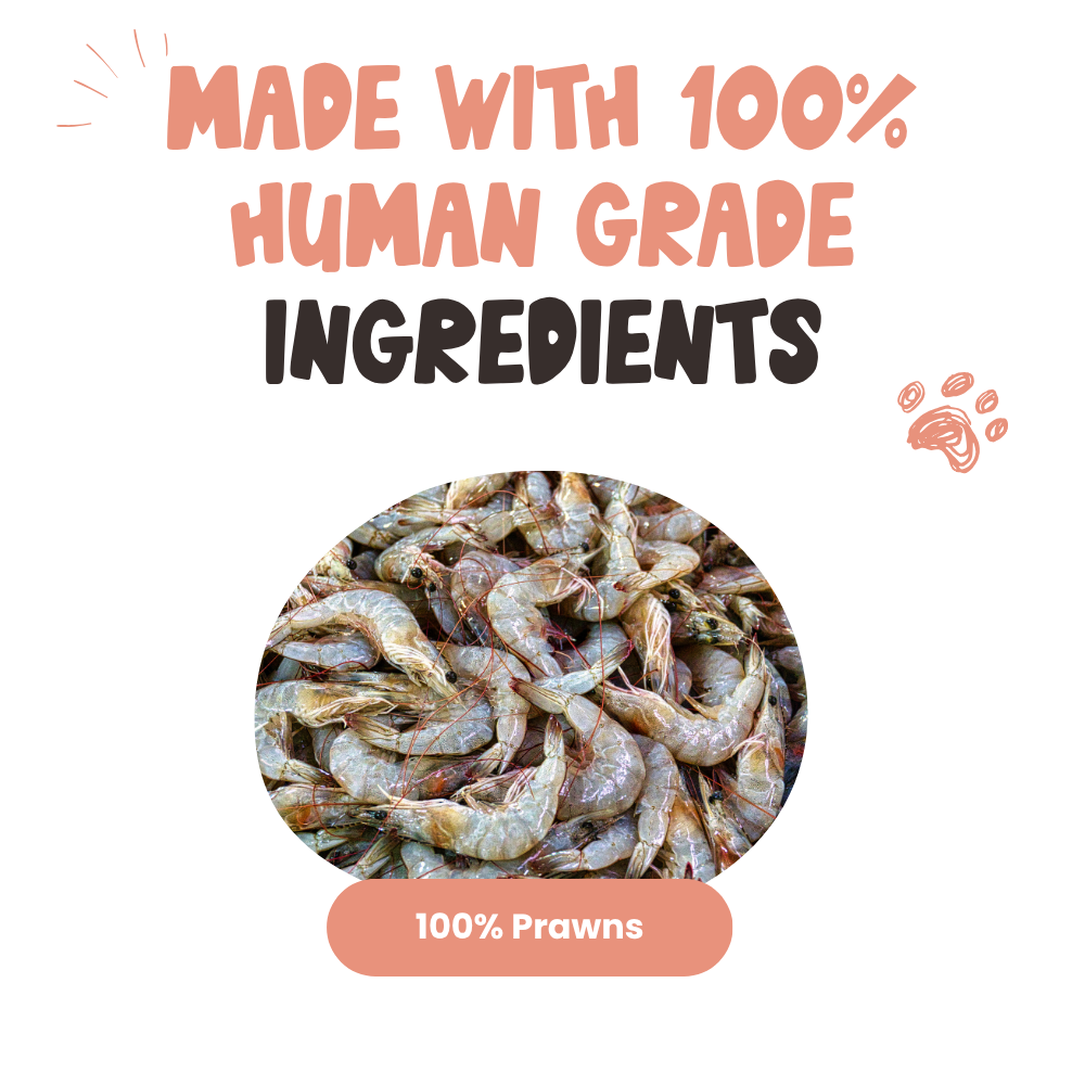 Prawns Dog Treats